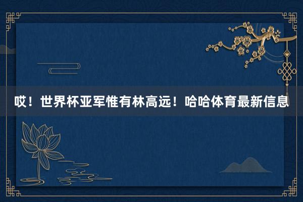 哎!世界杯亚军惟有林高远!哈哈体育最新信息