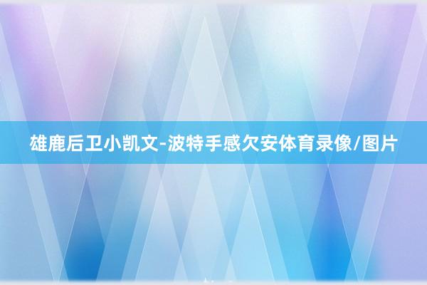 雄鹿后卫小凯文-波特手感欠安体育录像/图片