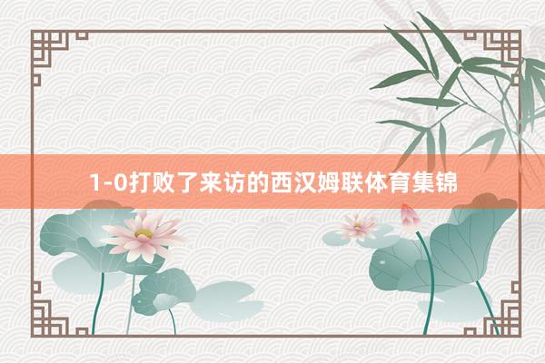 1-0打败了来访的西汉姆联体育集锦