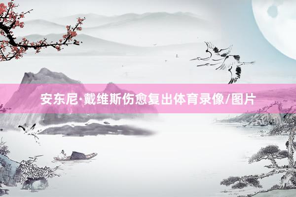 安东尼·戴维斯伤愈复出体育录像/图片