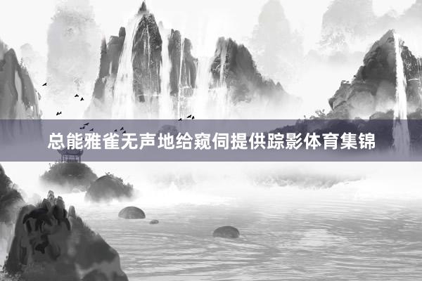 总能雅雀无声地给窥伺提供踪影体育集锦