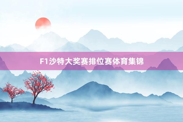 F1沙特大奖赛排位赛体育集锦