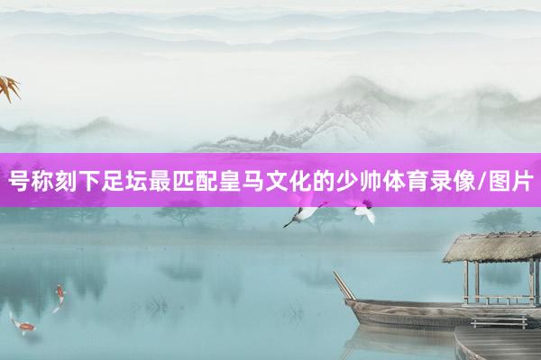号称刻下足坛最匹配皇马文化的少帅体育录像/图片
