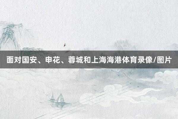 面对国安、申花、蓉城和上海海港体育录像/图片