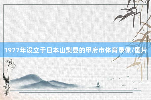 1977年设立于日本山梨县的甲府市体育录像/图片
