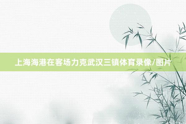 上海海港在客场力克武汉三镇体育录像/图片