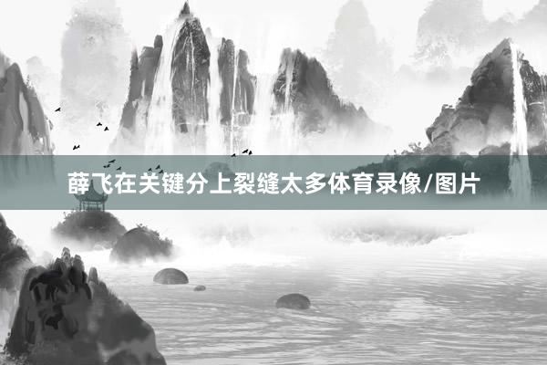 薛飞在关键分上裂缝太多体育录像/图片