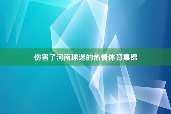 伤害了河南球迷的热情体育集锦