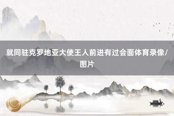 就同驻克罗地亚大使王人前进有过会面体育录像/图片