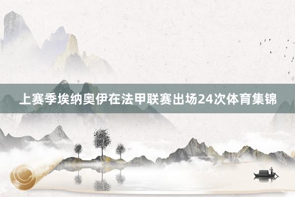 上赛季埃纳奥伊在法甲联赛出场24次体育集锦