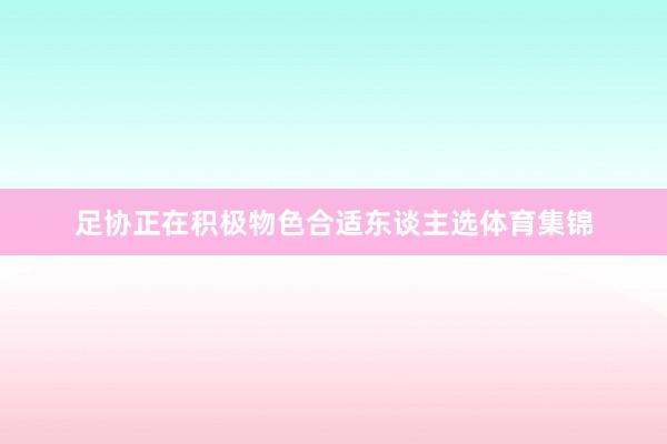 足协正在积极物色合适东谈主选体育集锦