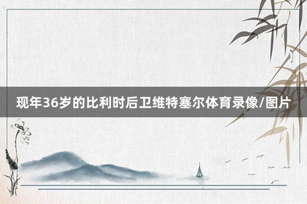 现年36岁的比利时后卫维特塞尔体育录像/图片