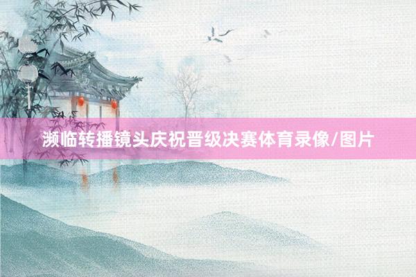 濒临转播镜头庆祝晋级决赛体育录像/图片