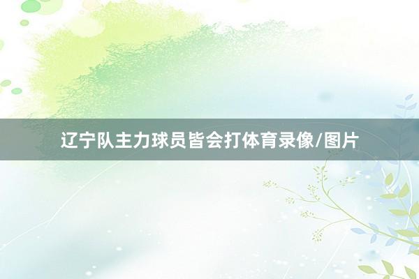 辽宁队主力球员皆会打体育录像/图片
