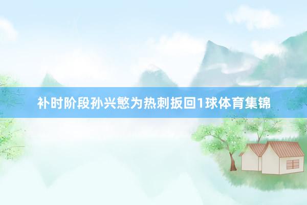 补时阶段孙兴慜为热刺扳回1球体育集锦
