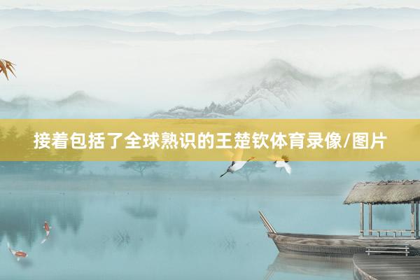 接着包括了全球熟识的王楚钦体育录像/图片