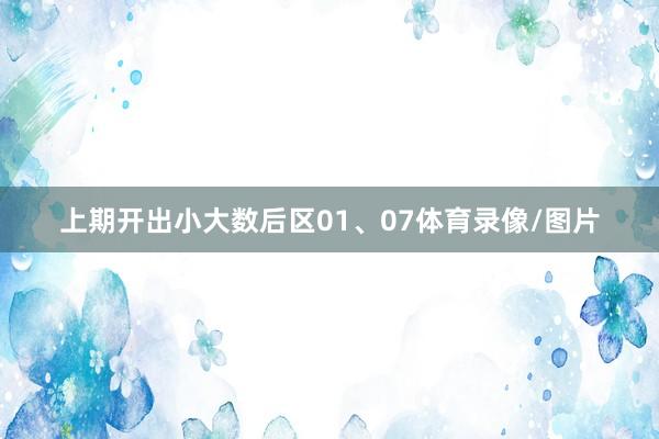 上期开出小大数后区01、07体育录像/图片