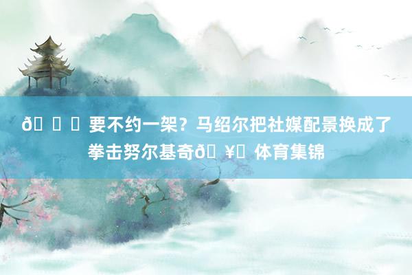 😂要不约一架？马绍尔把社媒配景换成了拳击努尔基奇🥊体育集锦