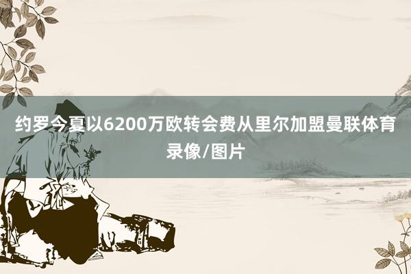 约罗今夏以6200万欧转会费从里尔加盟曼联体育录像/图片