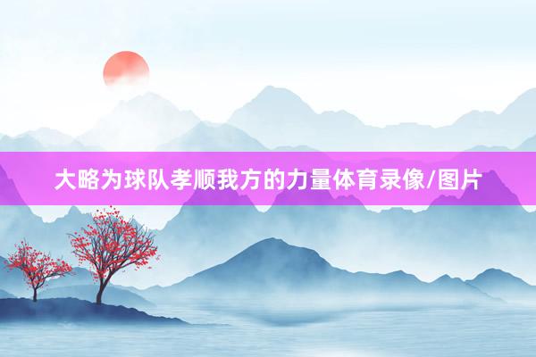 大略为球队孝顺我方的力量体育录像/图片
