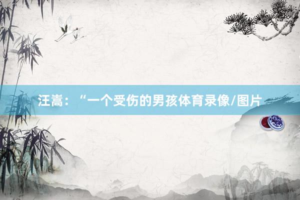 汪嵩：“一个受伤的男孩体育录像/图片