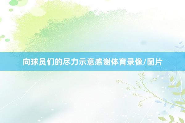 向球员们的尽力示意感谢体育录像/图片