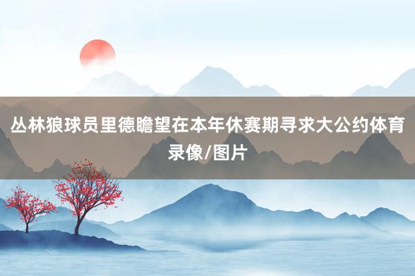 丛林狼球员里德瞻望在本年休赛期寻求大公约体育录像/图片