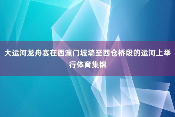 大运河龙舟赛在西瀛门城墙至西仓桥段的运河上举行体育集锦