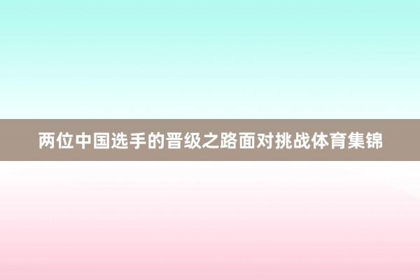 两位中国选手的晋级之路面对挑战体育集锦