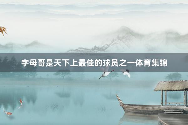 字母哥是天下上最佳的球员之一体育集锦