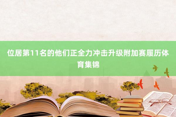 位居第11名的他们正全力冲击升级附加赛履历体育集锦