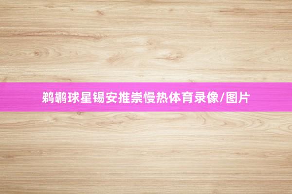 鹈鹕球星锡安推崇慢热体育录像/图片