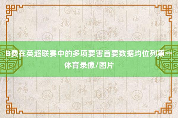 B费在英超联赛中的多项要害首要数据均位列第一体育录像/图片