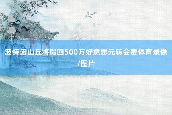 波特诺山丘将得回500万好意思元转会费体育录像/图片